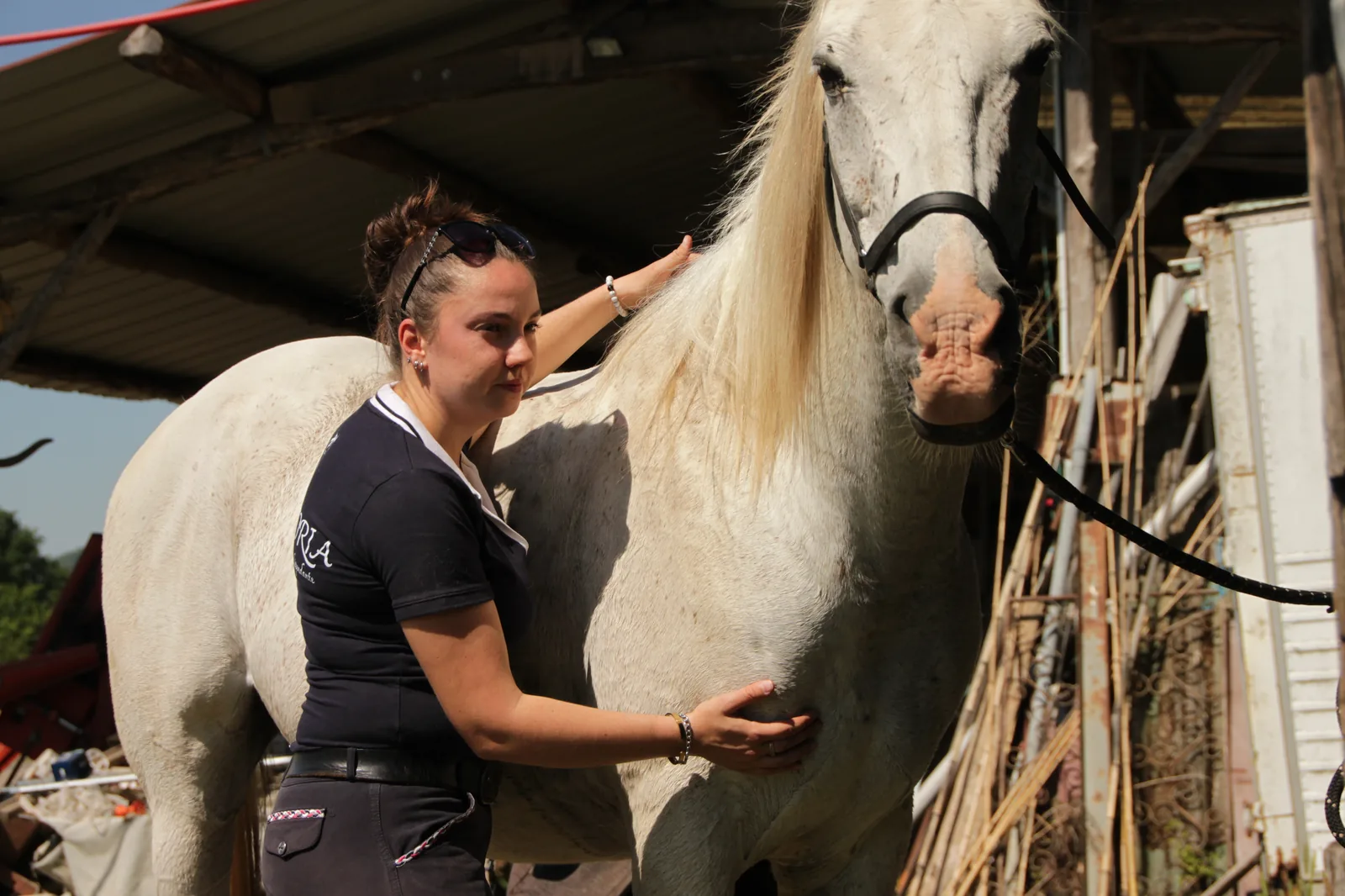 Palpation et prise de contact