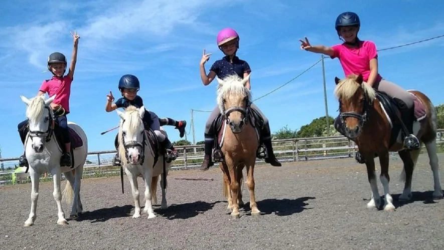 Cours clubs